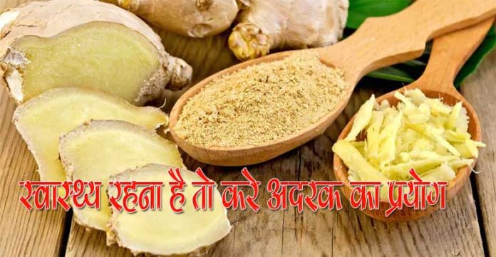 Benefit of Ginger in hindi