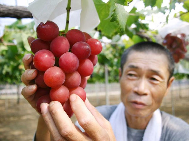 big grapes 