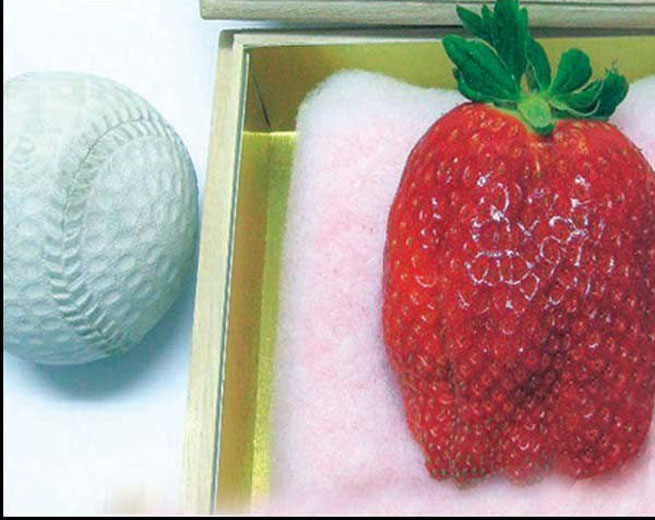Strawberry