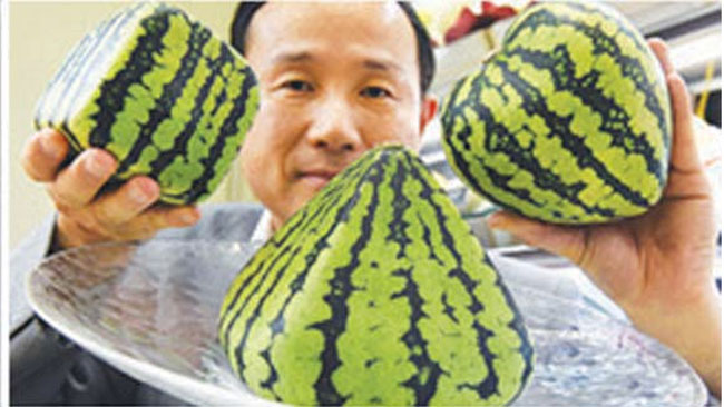 water melon