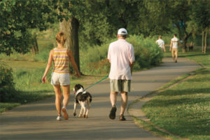 animal walking