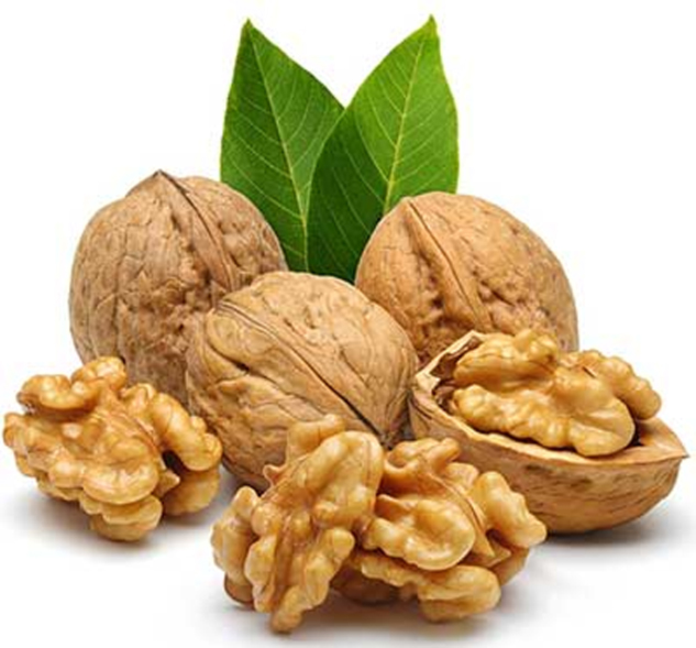 Walnut