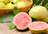 ऐसे पहचाने कि अमरूद मीठे हैं या नहीं Identify that guava is sweet or not