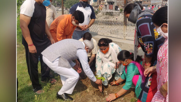 Politics is the medium of service