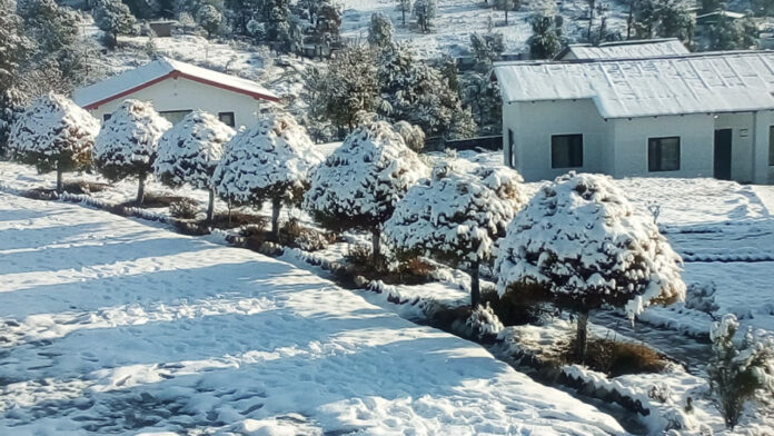 Chaukori uttarakhand