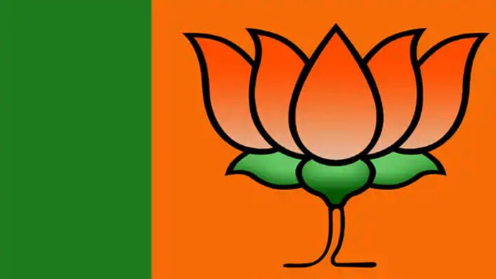 BJP released list of 30 star campaigners