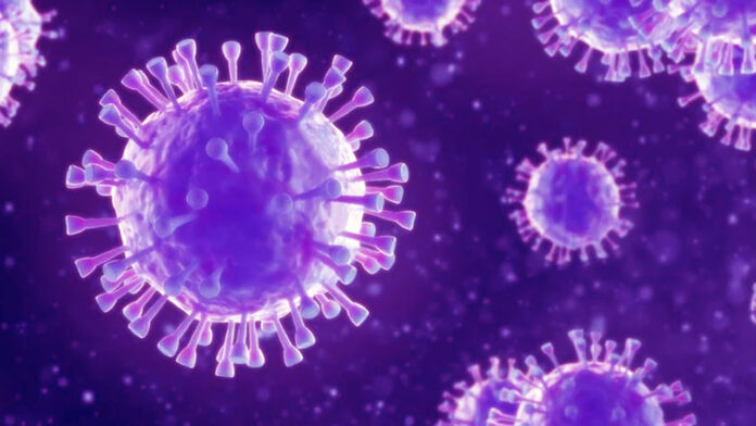 3848 new corona infected found in Uttarakhand