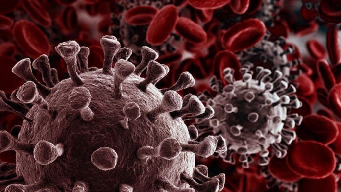 30 corona infected found in Khatima