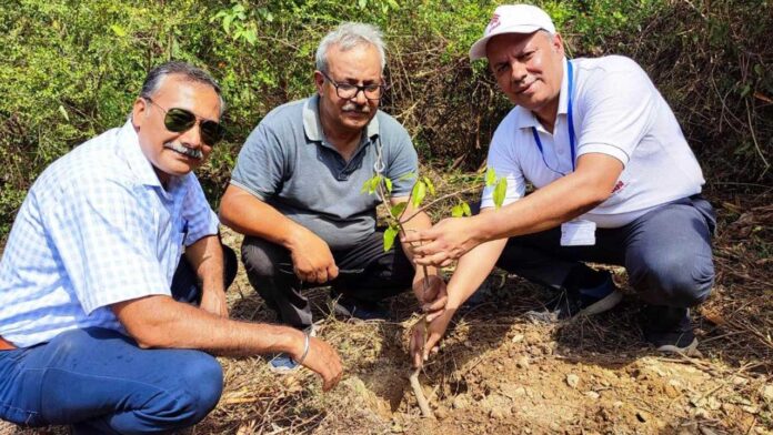 Plantation done in Survey State Hathibarkala
