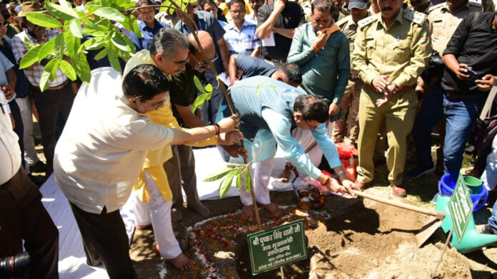 CM planted saplings on Harela festival