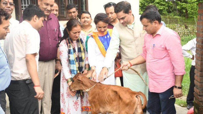 Minister listened to the problems of cattle farmers