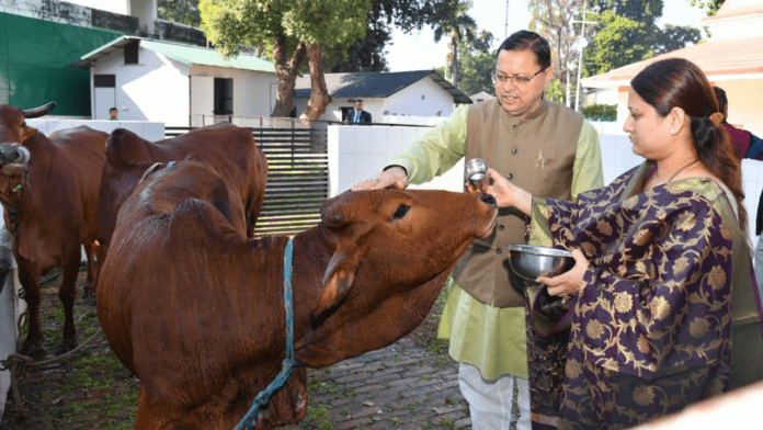 CM Dhami worshipped cows in Chief Minister residence
