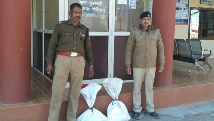 Stockpile of explosives found in government school