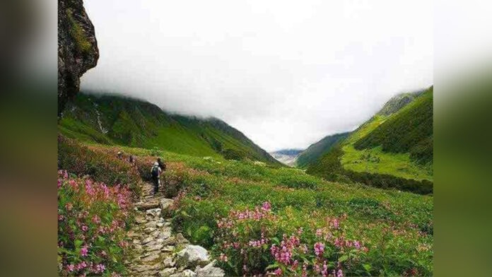 Valley of Flowers opened for tourists