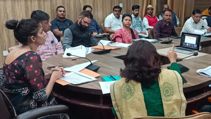 DM took meeting of water and sanitation committee
