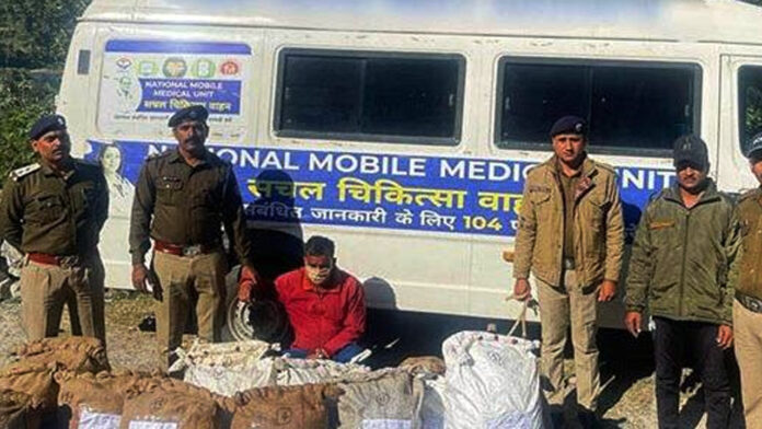 drug smuggler arrested