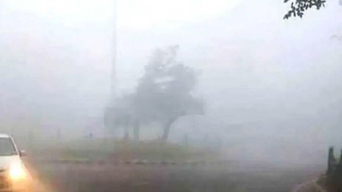 An amount of Rs 1.35 crore released to prevent cold wave outbreak