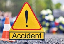 हादसा में 4 वनाधिकारियों की मौत 4 forest officers died in accident