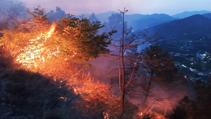 Many areas of Uttarakhand are in the grip of forest fire