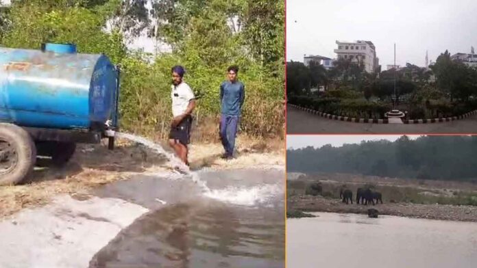 Wild animals are in bad condition due to increased temperature