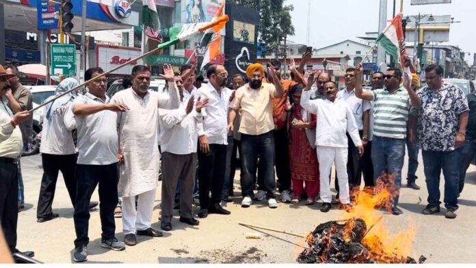 Congress burnt the effigy of the government