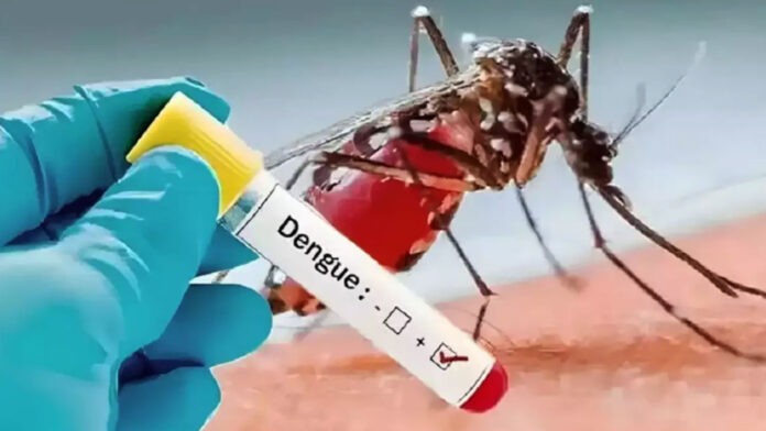 Team formed for dengue control and prevention