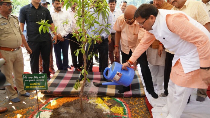 CM Dhami planted trees in the name of the martyrs