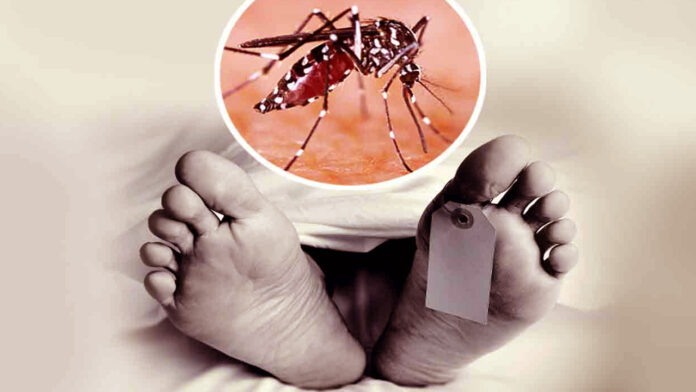 One died of dengue